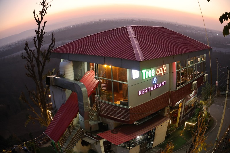 Tree Cafe Restaurant in Dehradun in  listed under Services - Restaurants