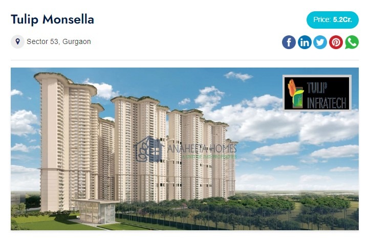 Services - Healthcare / Fitness