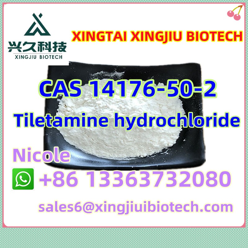 Tiletamine hydrochloride CAS 14176-50-2 Safe Clearance White Powder in  listed under Offerings - Anything on Sale