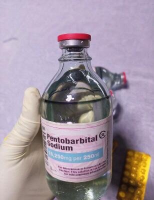 Buy Pentobarbital Sodium online, Buy Nembutal online, Order nembutal pentobarbital sodium online in  listed under Services - Other