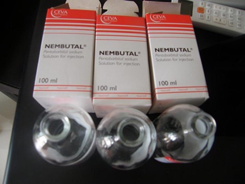 Buy Nembutal online, Buy nembutal pentobarbital sodium online, Order nembutal for sale, Nembutal Pen in  listed under Offerings - Anything on Sale