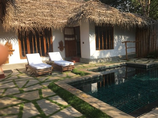 Services - Hotels / Resorts