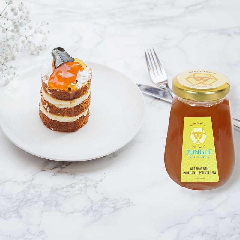 Services - Healthcare / Fitness