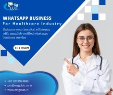 WhatsApp Business API importance in Healthcare in  listed under Services - Other