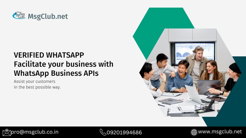 Is WhatsApp Green Tick essential to use WhatsApp API