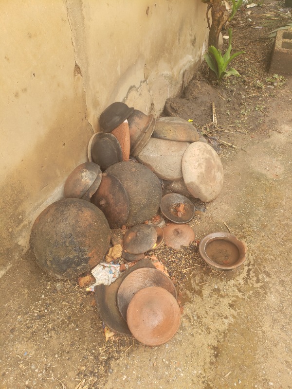 Services - Healthcare / Fitness