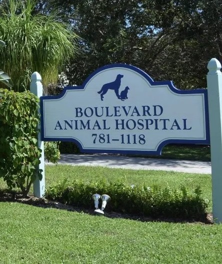 Boulevard Animal Hospital in  listed under Jobs - Healthcare / Medicine