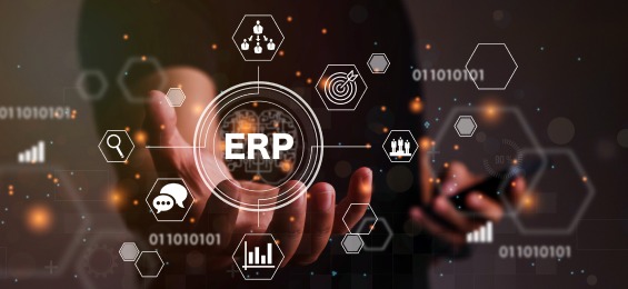 Discover Excellence: Best ERP Solution Providers in India