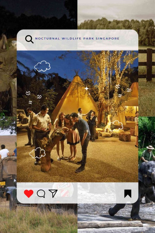 Services - Travel Agents