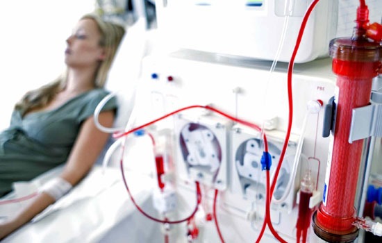 Services - Healthcare / Fitness