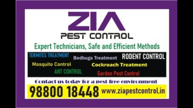 Bedbug pest control for Paying Guest | Restaurant | Lodge| | 1851
