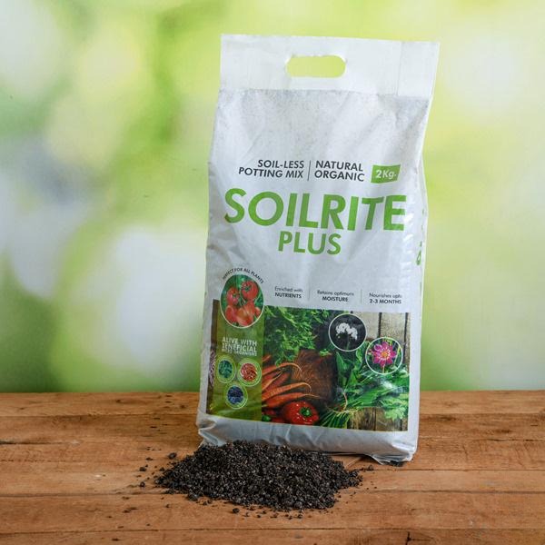 Best Soilless Potting Mix | Indoor Gardening Product – Keltech Energies in  listed under Lifestyle - Garden Supplies