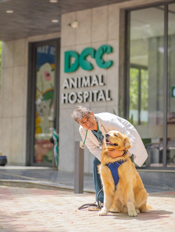 DCC Animal Hospital - Best Pet Clinic in Delhi NCR in  listed under Pets n Care - Pet Clinics