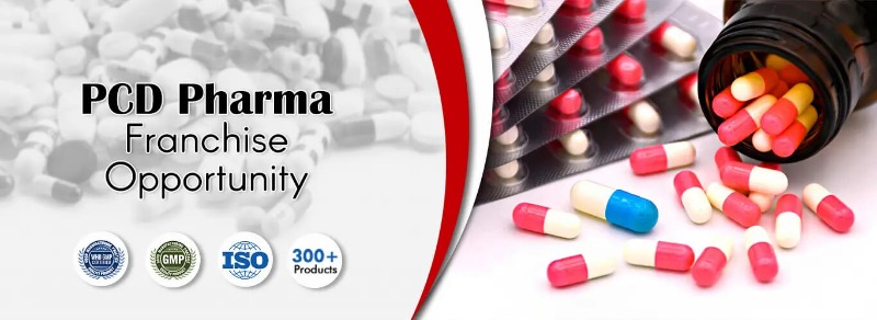 Best Pharma Franchise Company in India in  listed under Services - Doctors