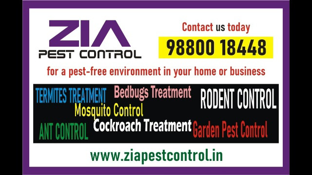 Zia Pest control service | Low cost | 1895 in  listed under Services - Business Offers