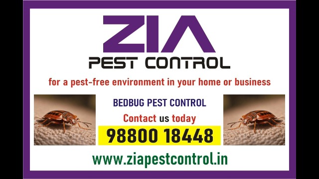 Pest Control service | effective bedbug treatments Bangalore | 1865 in  listed under Services - Maids / House Keeping