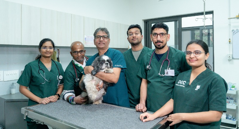 Veterinary Clinic in Gurgaon - DCC Animal Hospital in  listed under Pets n Care - Pet Clinics