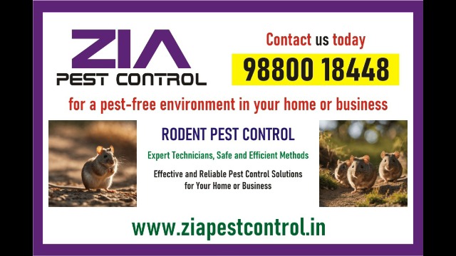Rodent Control | Cockroach pest conttrol services | 3060 | Upto 25% Off