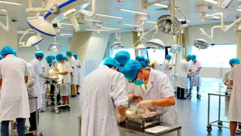 Education - Career Counselling