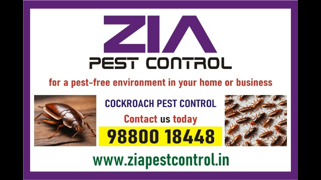 Cockroach Control service | Upto 30% Off | Mosquito Control | 4004  in  listed under Services - Architects