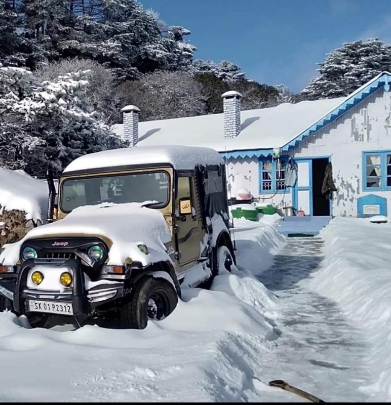 Services - Vacation / Tour Packages