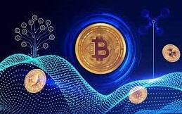 Services - Lawyers / Advocates