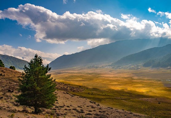 Bhutan Tour Packages from Guwahati airport  in  listed under Services - Vacation / Tour Packages