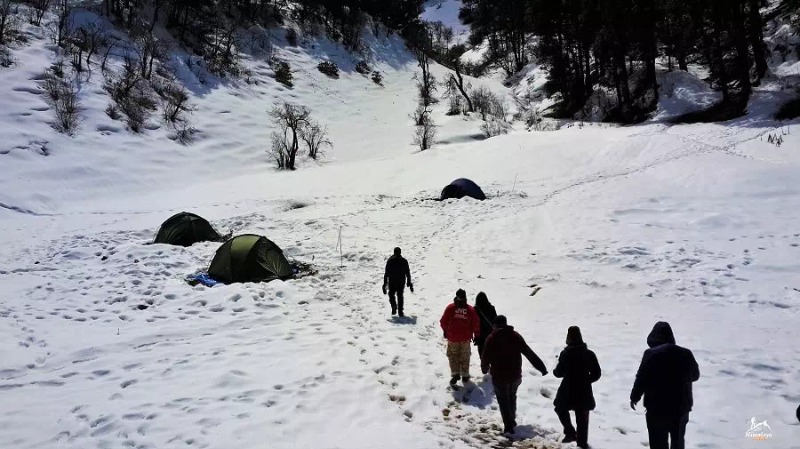 Explore the Dayara bugyal trek with Himalaya Shelter! in listed under Services - Travel Agents