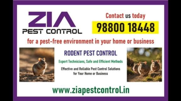 Get rid of Rodent | Rodent Treatment for Appartments | Paying Guest  | 6017 in  listed under Services - Other