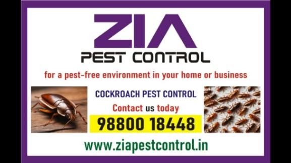 PEST CONTROL