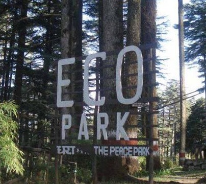 Services - Restaurants