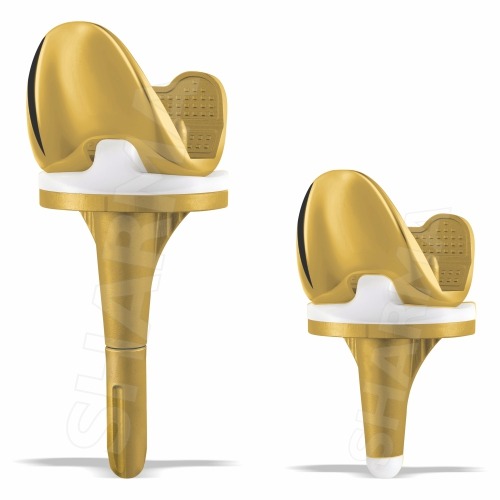 Get Durable and Precision-Engineered Total Knee Replacement Implants from Sharma Orthopedic – Truste in  listed under Services - Healthcare / Fitness