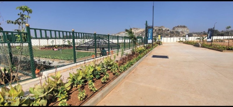 Real Estate - Land / Plots for Sale