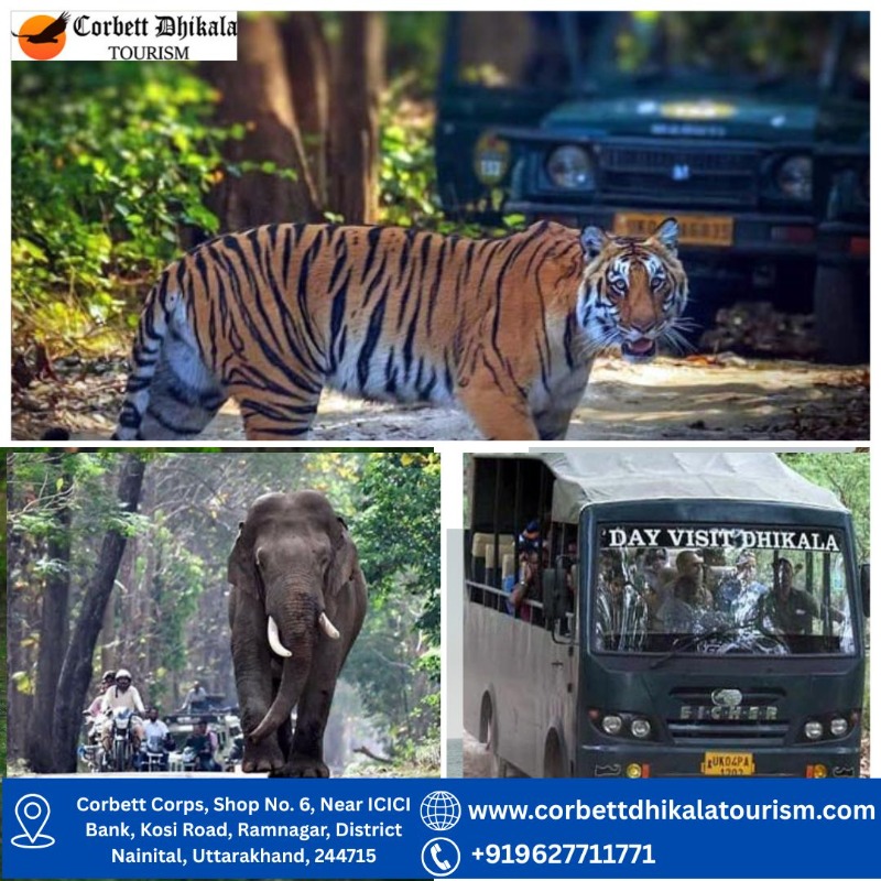 Services - Car Rental / Taxi Service