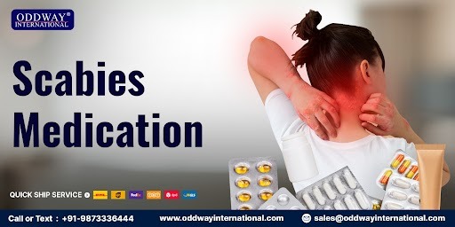 Services - Healthcare / Fitness