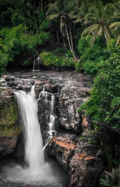 Explore God’s Own Country with Travel Hope in  listed under Services - Travel Agents