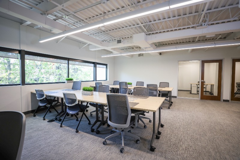 Entertainment - Others