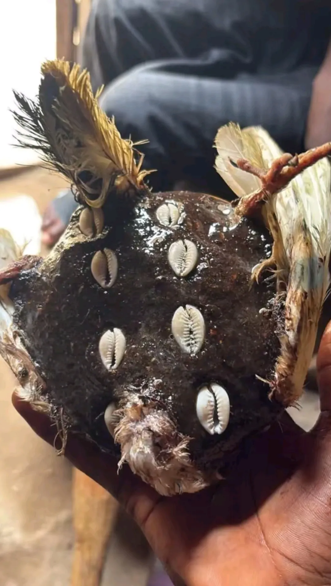 Real Estate Services