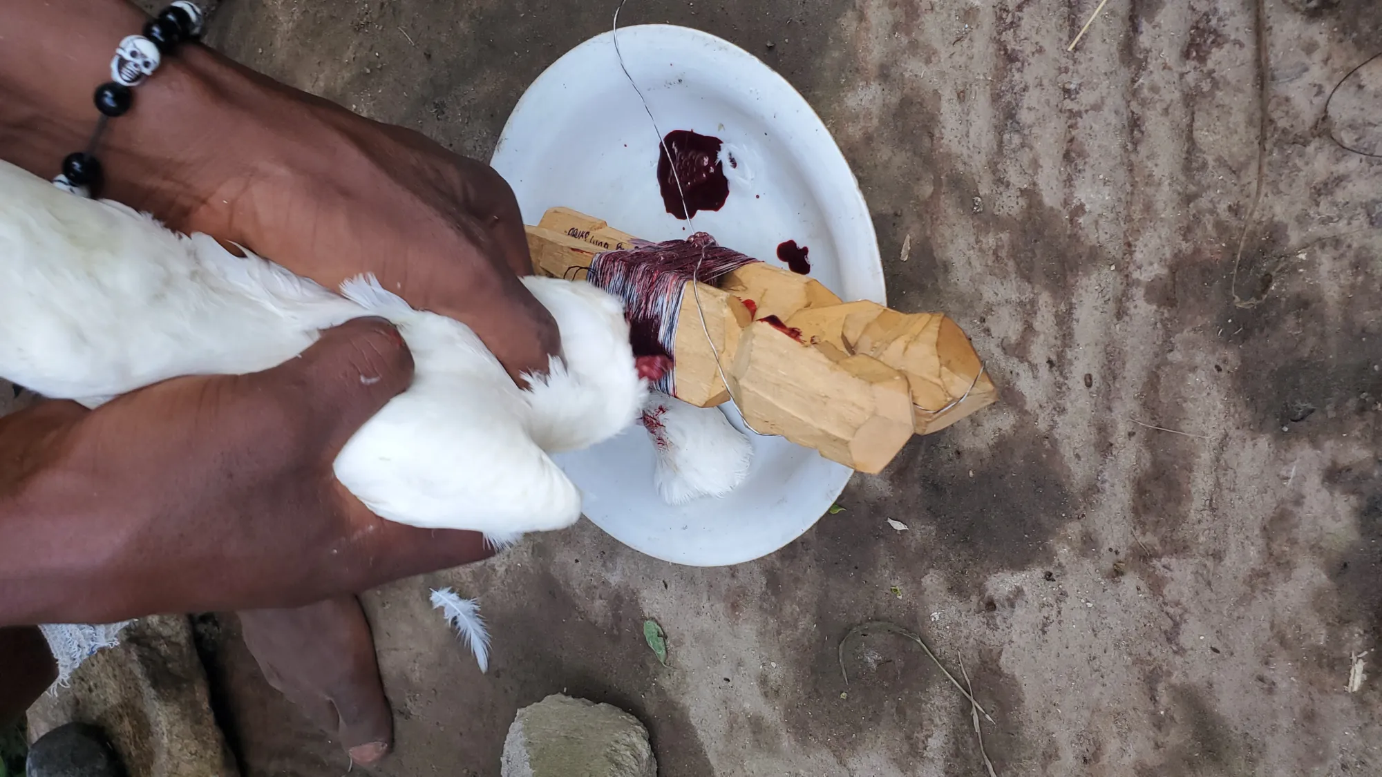 Real Estate Services