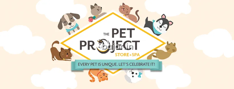 Premium Pet Food, Treats, and Essentials for Every Pet | The Pet Project